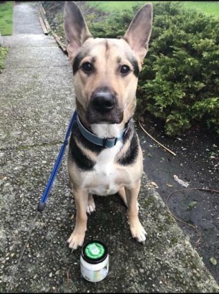 26694463_1777386938951610_228564084_n-2